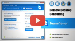 Remote Conferencing Consulting Session