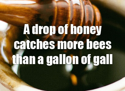 A Drop of Honey